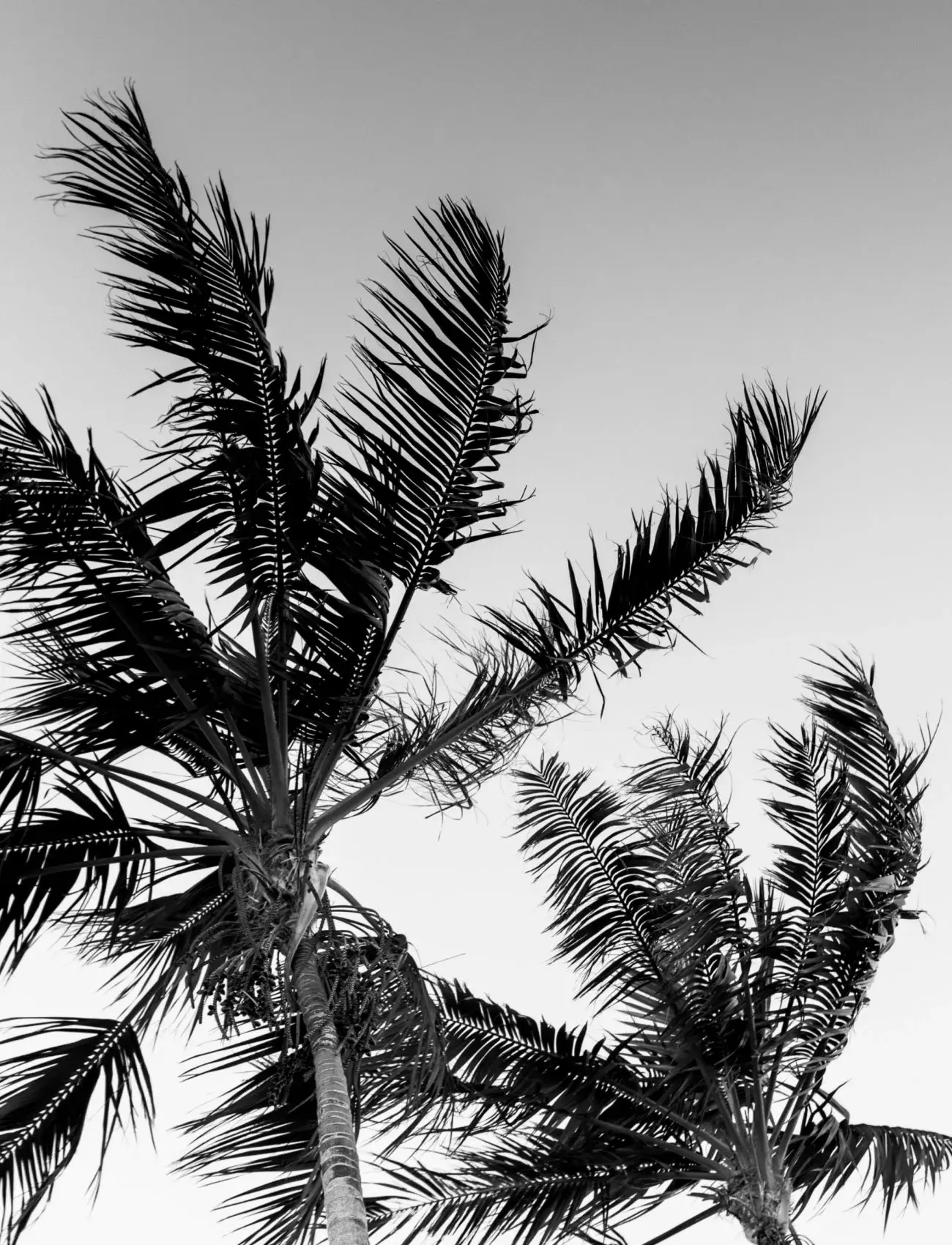 WELCOME TO OUR RESORT IN KASSANDRA, HALKIDIKI